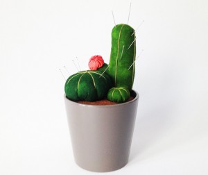 alfiletero-cactus
